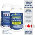 thumbnail image 5 of Collagen Marine 525 gm, 5 of 5