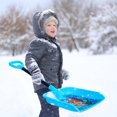thumbnail image 3 of Frozen 2 Mini Shovel, 3 of 4