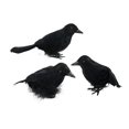 thumbnail image 3 of 3 Pcs Corbeaux d'Halloween Noirs Simulation Plume Corbeau Modèle Animal Corbeaux d'Halloween Style A, 3 of 9