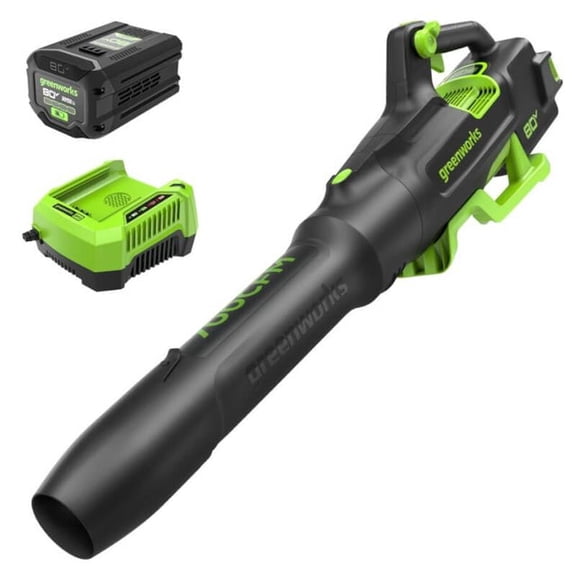 Greenworks Souffleur de Feuilles 80 V 700 CFM, Batterie 2,5 Ah et Chargeur Inclus