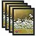 thumbnail image 3 of PictureFrameFactoryOutlet Cadre Photo 22 par 28 Pouces Ensemble de 4 Pcs, Fini Lisse, 1,25 Pouce de Large, Noir, 3 of 4