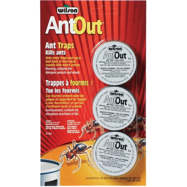 Appât pour fourmis AntOut®