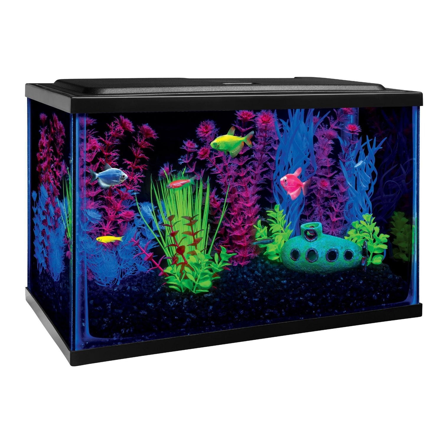 GloFish Kit d'aquarium parfait pour débutant