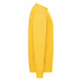 thumbnail image 3 of Fruit Of The Loom Chandail Molletonné Classique à Épaules Tombantes pour Hommes, 3 of 3