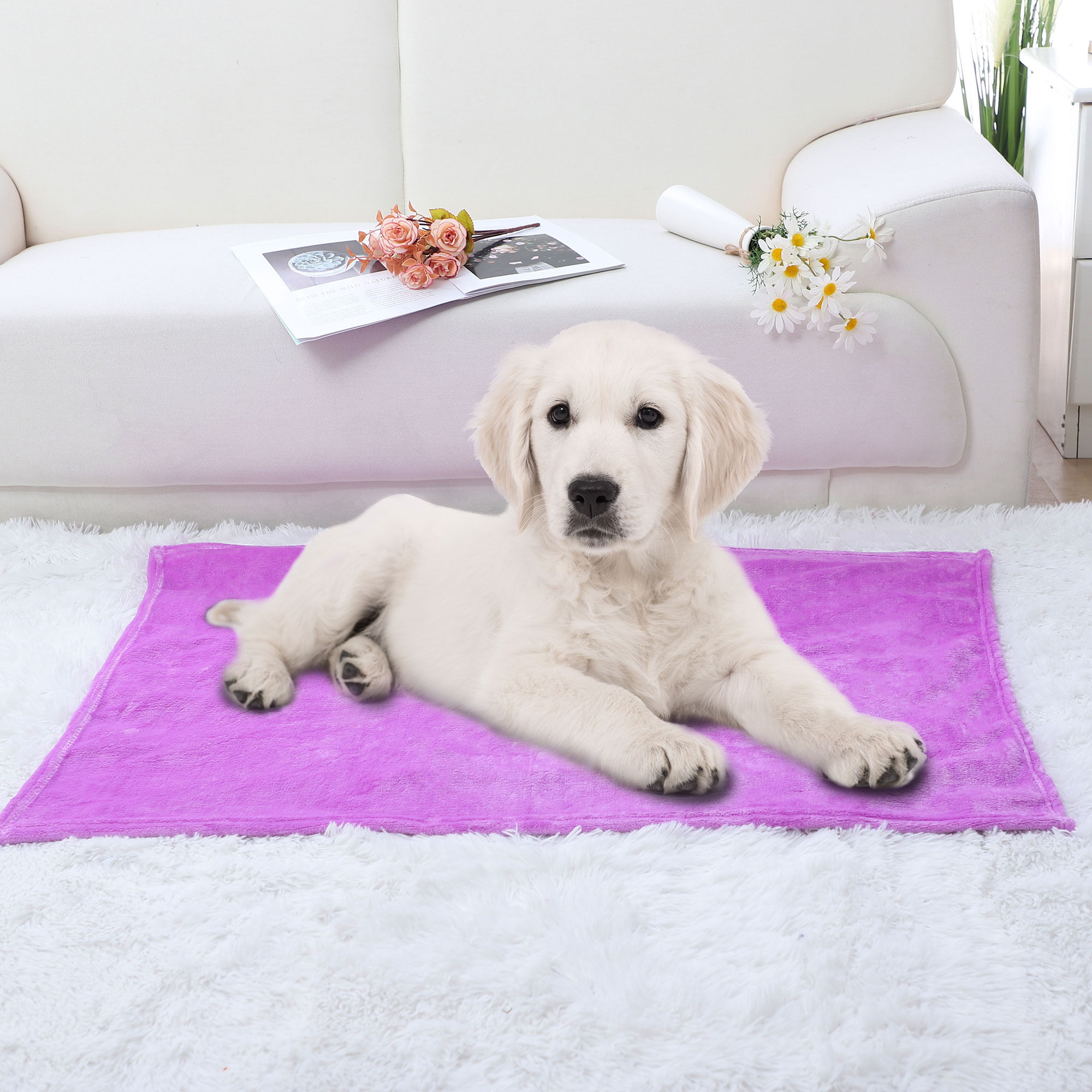 PiccoCasa 1 Pcs Home Warm Soft Microplush Fleece Solid Throw Blanket Light Purple 27" x 40"