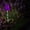 Violet, variante sur Dvkptbk Lampe Solaire Lumières Décoratives de Jardin Solaires, Lumières Moulin à Vent Tulipes Simulées, Lumières Solaires de Sol d'Extérieur Qui Peuvent Danser avec le Vent Éclairage et Plafond