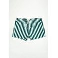 thumbnail image 1 of THICKEMS Big Men’s Striped Seersucker Volley Swim Trunk, 1 of 1