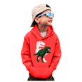 thumbnail image 1 of WEAIXIMIUNG Chandails Garçons Col Rond Camion Dinosaure Manches Longues Chandail Tops Tees, 1 of 6