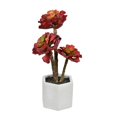 thumbnail image 1 of Vickerman FH191313 13 in. Red Potted Succulent, 1 of 3