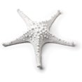 thumbnail image 1 of Abbott Collection Étoile de Mer 3D Moyenne - Résine, Blanc (7,5 Po L), 1 of 2