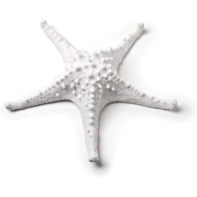 Abbott Collection Étoile de Mer 3D Moyenne - Résine, Blanc (7,5 Po L)