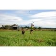 thumbnail image 2 of Chuckit! Jouet pour Chien Lance-Balle Sport Grand, 2 of 4