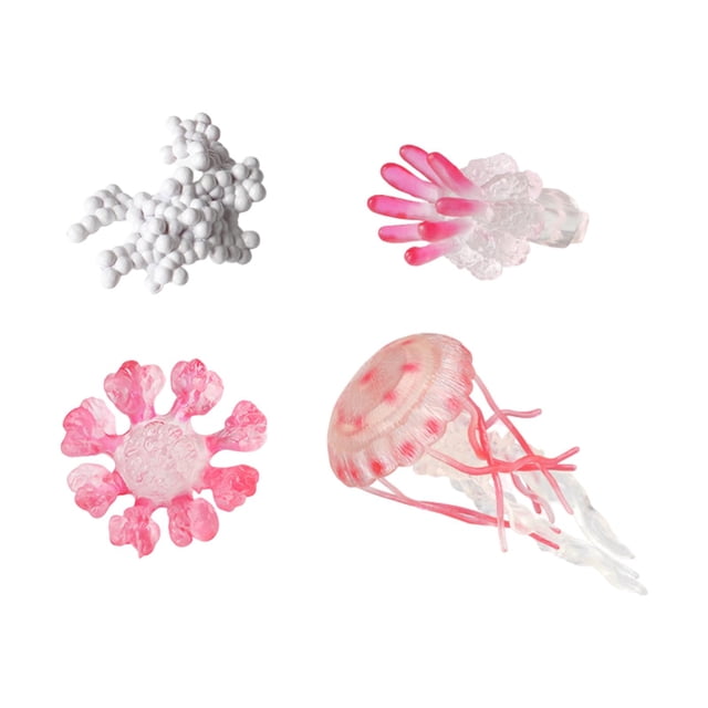 HILABEE Jellyfish Growth Cycle Science Biology Model Animal Life Growth Cycle Figure Pink