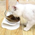 thumbnail image 4 of Bol pour Chat Double Réglable à 20° Bol pour Chien Double Bol pour Chat Inclinable Bol pour Chat en Forme de Visage de Chat, 4 of 8