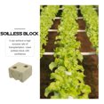 thumbnail image 4 of RENACLIPY 5pcs Good Air Permeability Grow Starter Plugs Green, 4 of 5