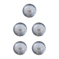 thumbnail image 1 of Baohd Exquisite Flower Crystal Ball Adding Elegance To Space Easily Portable Dandelions 6cm 5Set, 1 of 6