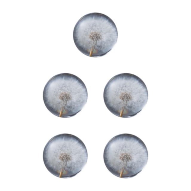 Baohd Exquisite Flower Crystal Ball Adding Elegance To Space Easily Portable Dandelions 6cm 5Set