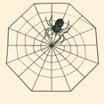 thumbnail image 2 of Fake Spider Practical Jokes Props Realistic Plastic Spider With Spider Web for Halloween Party Decoration (Black), 2 of 2