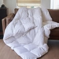 thumbnail image 1 of Tous-Saison Couette Premium & Duvet et Plumes, 1 of 5