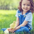 thumbnail image 1 of EGNMCR Easter Decorations For The Home Easter Decor Imitation Chicken Plush Toy Doll Children's Teaching Easter Model Chicken Model Decoration Easter Decorations, 1 of 5