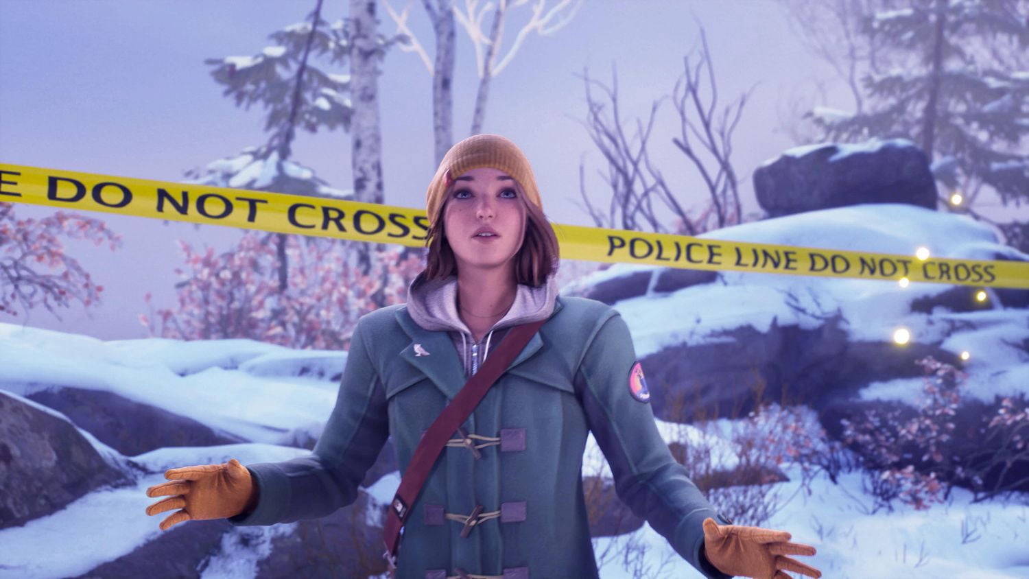 Life Is Strange: Double Exposure (Nintendo Switch)