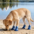 thumbnail image 3 of Breathable Pet Shoes for Dogs Offering Comfort and Care Showcasing Unique Personality with Stylish Design, 3 of 3