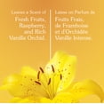thumbnail image 3 of Fleecy Aroma Therapy Calm Dryer Sheets, Vanilla and Honey Lotus, 200 Sheets, 3 of 9
