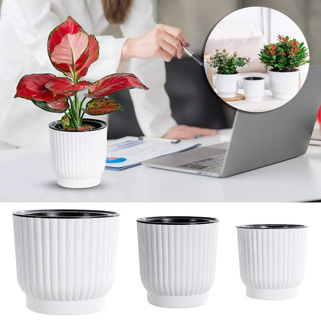 Cagogo under $5 3Pcs Flower Pots, Self Watering Flower Pot Lazy Plant Pot Resin Planter, Automatic Water Absorption Succulents Plant Container, Round Rose Pattern Tabletop Decor
