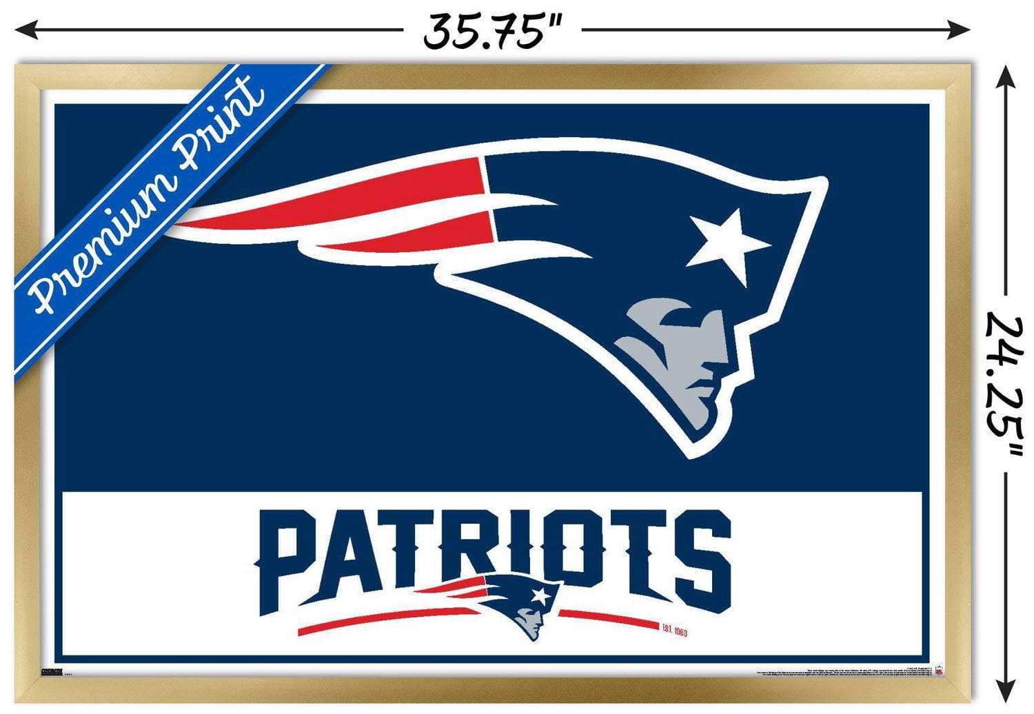 Patriots de la Nouvelle-Angleterre de la NFL