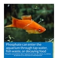 thumbnail image 2 of Kit de test de phosphate API pour aquariums d'eau douce et d'eau de mer (150 tests), 2 of 7
