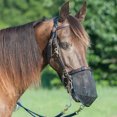 thumbnail image 2 of Horse Fly Mesh Nose Cover for Riding Stable Gear Breathable and Horse Protective Accessory for Indoor Outdoor Use, 2 of 8