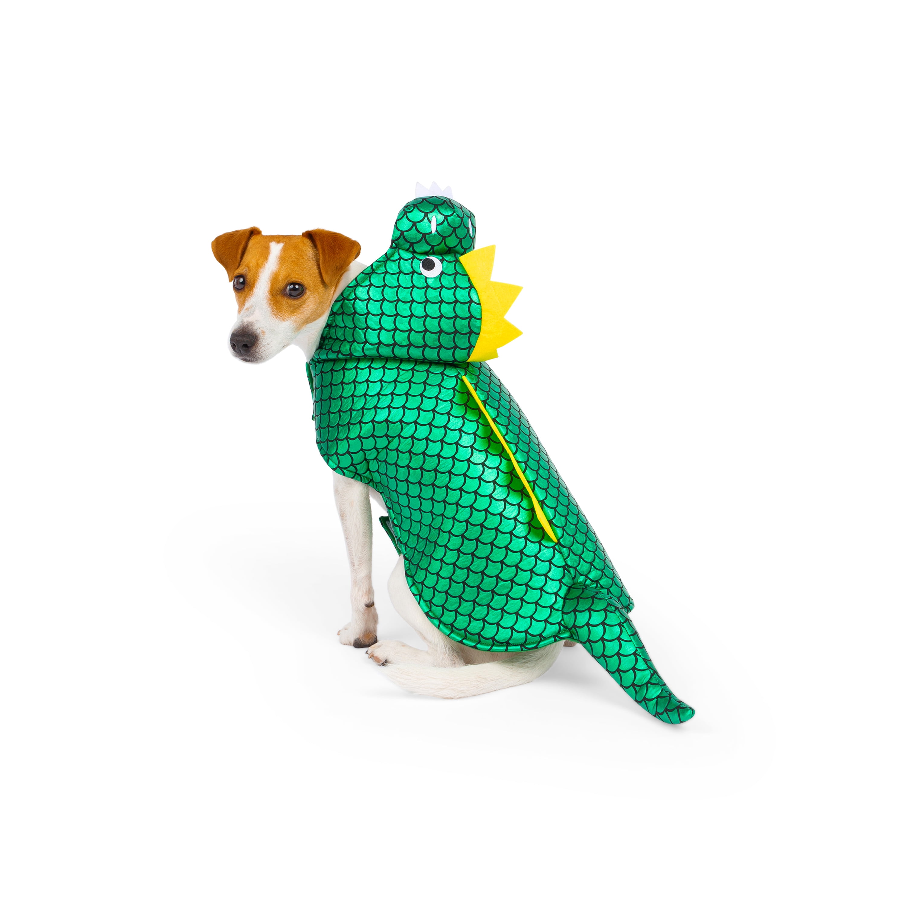 Costume de dinosaure pour chien One Paw, Halloween