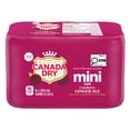 thumbnail image 1 of Canada Dry Cranberry Ginger Ale 222 mL Mini-Can 6 Pack, 1 of 5