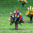 thumbnail image 4 of Arrangement Floral Élégant de Sympathie pour Cimetière pour Lieu de Sépulture avec Lys Rouges, Marguerites Blanches et Roses Rouges – Bouquet Floral pour Jardins Commémoratifs et Maison, 4 of 4