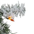 thumbnail image 3 of Northlight Pre-lit Heavily Flocked Pine Artificial Christmas Wreath - 24" - Multi Lights, 3 of 3