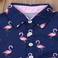 thumbnail image 4 of Little Boys Short Sleeve Button Down Shirts Tops Shorts Pants 2pcs Summer Outfits, 4 of 6