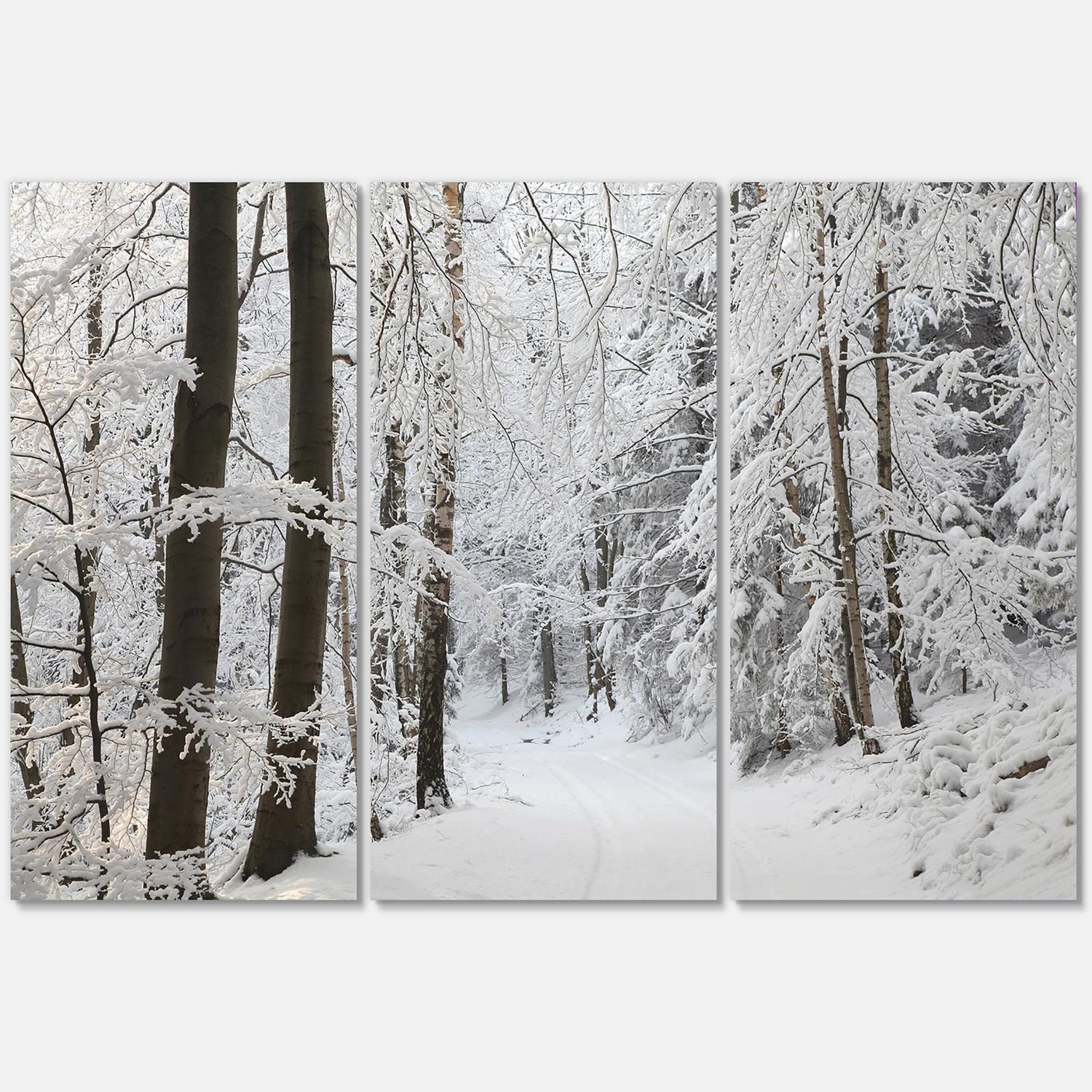 Designart Forêt d'hiver dense et ruelle Art mural sur toile