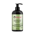Mielle Rosemary Mint Renforcer le shampooing – Clarifier le shampooing qui nettoie doucement & Aide à renforcer les cheveux