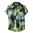 thumbnail image 1 of Chemises à Manches Courtes pour Hommes Chemise Hawaïenne à Manches Courtes Chemise de Plage Imprimée Été Décontractée Col Rabattu Chemises Hommes Manches Courtes Chemises Hommes Manches Courtes Décontractées, 1 of 8