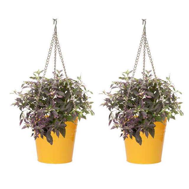 HOUSTON INTERNATIONAL TRADING 6151E SAFF 6151E SAFF S/2 Enameled Galvanized Steel Hanging Planter