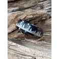 thumbnail image 4 of Men's Stainless Steel Forest Trees Spinner Fidget Ring Anxiety Band Outdoor 8MM, 4 of 4