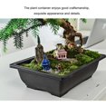 thumbnail image 3 of pitrice Pot de Pépinière Professionnel Support pour Plantes Succulentes Maison Intérieur Extérieur Pots pour Plantes Accessoire de Jardinage avec Conception de Drainage Type 2, 3 of 9
