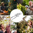 thumbnail image 5 of Pruning Shears Professional Bypass Garden Scissors, Gardening Tools Hand Pruner, 5 of 5
