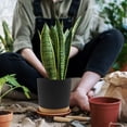 thumbnail image 3 of QCQHDU 2 Pack Plant Pot, Black Plastic Indoor Planter With Drainage Holes And Removable Base, 3 of 6