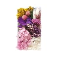 thumbnail image 1 of TopLLC Dried Flowers Material Kit DIY Everlasting Flowers Material Making Valentine's Day Gift Valentines Day Decor, 1 of 2
