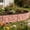 Red, variant on VVQ Plastic Garden Fence Border, Lawn Edging Tree Ring Barrier for Landscaping Outdoor Yard Decorative, Grass Stones Separation Fence Panel 10.23x8.46 Inch, Gray