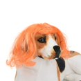 thumbnail image 5 of Pet Wig Photography Prop - Dacron, Funny Design, Comfortable, for Cats Dogs Photo Shoots, 5 of 5