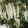 thumbnail image 3 of MesaSe 120cm Artificial Wisteria Flower Rattan Vine Wedding Home Party DIY Decoration, 3 of 10