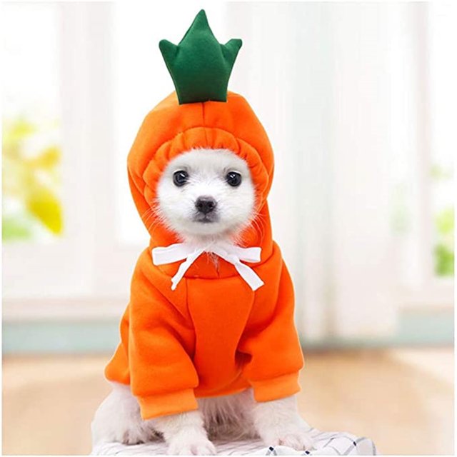 TIMIFIS Cat Dog Clothes Cat Hoodie Fruit Turned Into Dogs, Cats, Dogs, Autumn And Winter Sweaters, Fleece Clothes