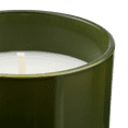 thumbnail image 3 of Bouclair Dark Green Boreal Forest Diffuser and Candle Set, 3 of 4